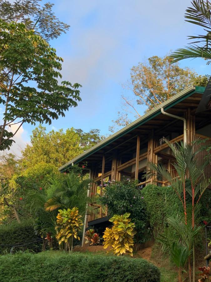 Bambura Hermosa Villas Uvita Exteriér fotografie