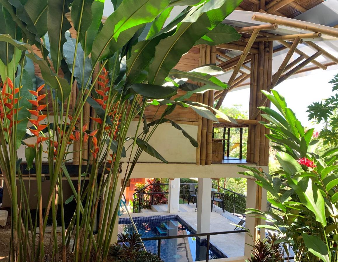 Bambura Hermosa Villas Uvita Exteriér fotografie