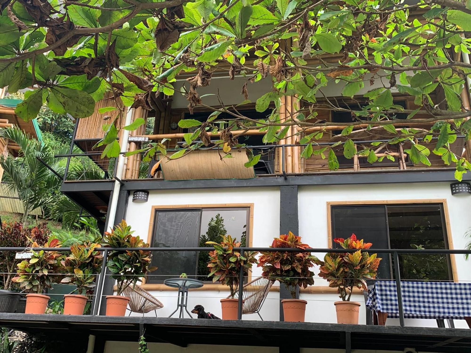 Bambura Hermosa Villas Uvita Exteriér fotografie