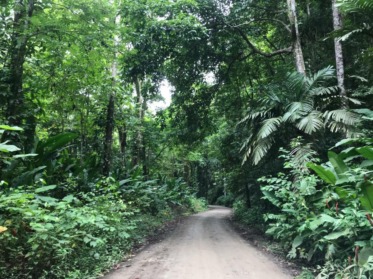 Bambura Hermosa Villas Uvita Exteriér fotografie